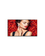 43BDL4031D 43" Full HD