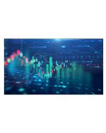 65BDL6005X 65" UHD IPS 24/7 Video Wall Display