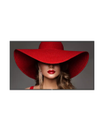 65BDL4650D 65" D-Line Android 4K UHD Display